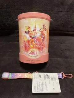 ディズニー40周年【ポップコーンバケット】