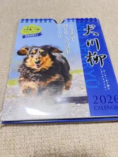 Item thumbnail for item 83afc76d-a3dc-41b6-91b6-3308df0a8419