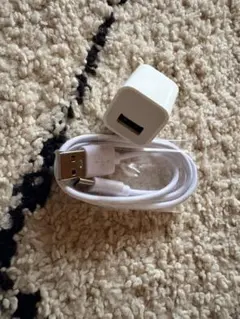 ホワイト USB 充電ケーブルとACアダプタ　即日発送可能