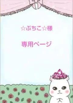 ☆ぶちこ☆様専用ページ