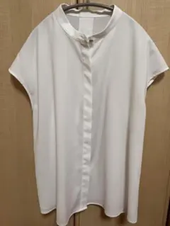 PLSTメタルボタンフレンチスリーブブラウス