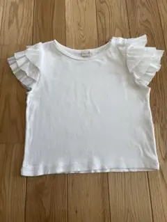 Item thumbnail for item 69d14c6a-b961-4681-85d6-19c9b5d5ef1f