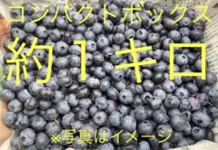【18日限定】約１キロブルーベリーコンパクトボックス　ご家庭用・加工用のサムネイル