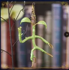 2025年最新】ファンタスティックビーストピケットの人気アイテム