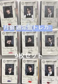 &TEAM Go in Blind 月狼 通常盤 封入 トレカ 9枚セット