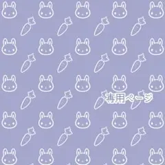 専用ページ