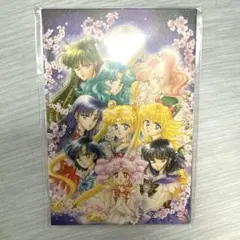 Item thumbnail for item 1f4b39f4-3fcc-4c64-8ffa-04c682443519