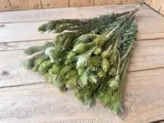 flowers発送に7日プロフご覧下さい様 リクエスト 2点 まとめ商品