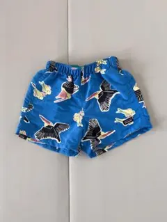 Patagonia ペリカン柄 ショートパンツ Mサイズのサムネイル