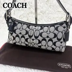 【極美品】COACH コーチ アクセサリーポーチ ワンショルダー シグネチャー