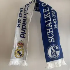 Item thumbnail for item 5efe17bb-794d-4074-a603-f411c62fa3e7