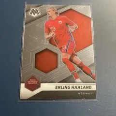 Panini Mosaic Erling Haaland ノルウェー　ハーランド