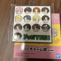 seventeen 1番くじ　ラバーチャーム　オール