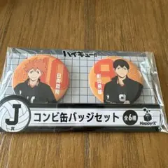 1番くじハイキュー!!缶バッジセット J賞