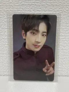 SEVENTEEN carat land 2021 dyd ウォヌ トレカ