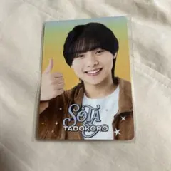 田所蒼大 プロフィールカード プロカ - メルカリ