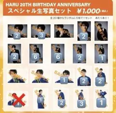 超特急　生写真　ハル FC会員限定】ハル生誕記念 スペシャル生写真セット スタダ便販売の
