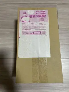 【新品未開封】 スペシャルBOX ポケモンセンタートウホク　シュリンク付き