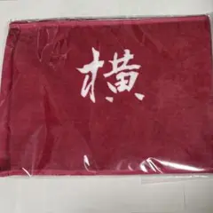 10-FEET サイン入り タオル SEKISUI J-SHOP ステンレスタオルかけ SSF－10 販売ページ