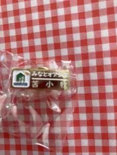 S*1様 北海道 道の駅限定みなとオアシス ピンズ るもい ゴールドVer