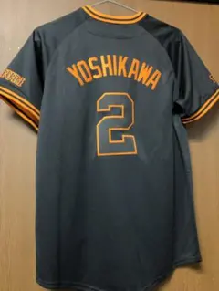 Item thumbnail for item 9f2bc020-d082-4647-be22-47dc15c6a1c5