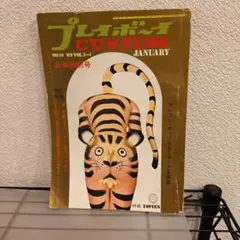 プレイボーイ CUSTOM 1969年1月号