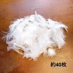 Item thumbnail for item 1480072c-930d-47f5-b3dc-b3f30ab036c4