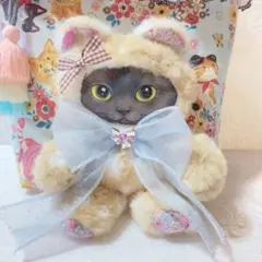 黒猫バミちゃんぬいぐるみトートバッグ　コヤンイサムチョン　くまさん着ぐるみバミ