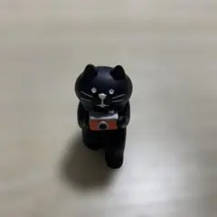 DECOLE デコレ　コンコンブル　黒猫カメラマン