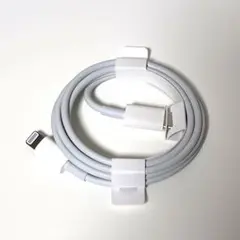 iPhone USBタイプC・Lightningケーブル 純正