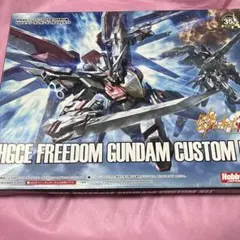 2015年　10月号付録　HGCEフリーダムガンダム カスタムキット
