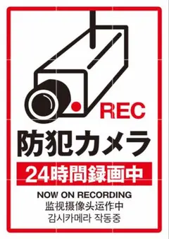 Item thumbnail for item c2867ca7-6ade-4923-9a9f-adb8d028ea05