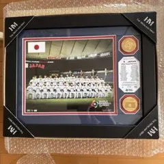 2025年最新】フォトミント wbcの人気アイテム - メルカリ