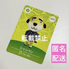 amiiboカード シャンペン あつ森 あつまれどうぶつの森 アミーボカード