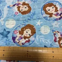 763生地　ディズニーソフィアハギレ