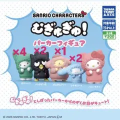 サンリオキャラクターズ むぎゅぎゅ！パーカーフィギュア シリーズ