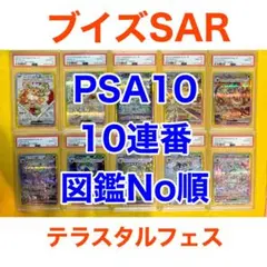 オール PSA10 10連番 ブイズ SAR テラスタルフェスex イーブイ進化
