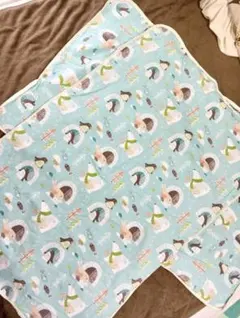 Item thumbnail for item 76f5d437-41d7-43b8-8a52-6d57414e539f