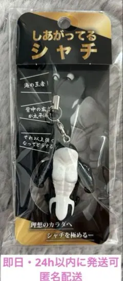 【新品未開封】　しあがってるシャチ　須磨シーワールド　岩本照　　即日発送可能