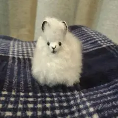 Miya様専用ページ