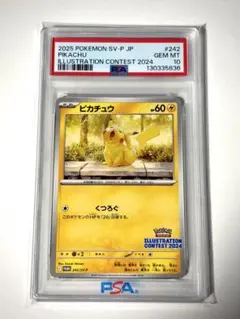 PSA10】2024イラストレーション コンテスト ピカチュウ 242