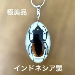 2026年最新】昆虫標本キーホルダーの人気アイテム - メルカリ