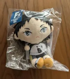 ハイキュー!! ぬいもっち フリューくじ F賞 ぬいもっちマスコット 赤葦京治