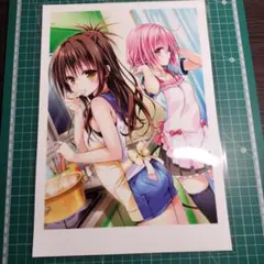 ToLOVEる スリーブ ヤミ ララ 美柑 モモ 古手川 春菜 - メルカリ