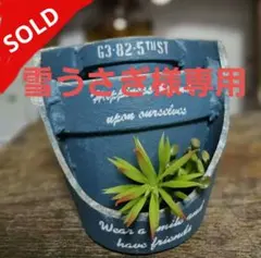 雪うさぎ様専用　割れ鉢☆リメ鉢　リメイク鉢　リメ缶　リメイク缶　寄せ植え　多肉