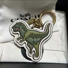 2025年最新】coach レキシー チャームの人気アイテム - メルカリ