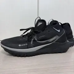 【美品】NIKE リアクト ペガサス トレイル4 GTXブラック 29.5