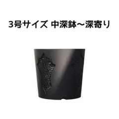 植木鉢 3Dプリンター鉢 3号 中深〜深寄り 塊根 多肉 アガベ 象牙宮 亀甲竜のサムネイル