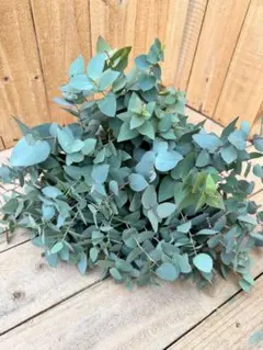 atelier sol daisy様 リクエスト 3点 まとめ商品