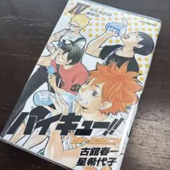 ハイキュー!! ショーセツバン!! Ⅳ それぞれの夏休み